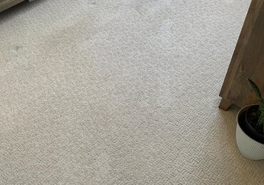 Living room carpet after hot-water extraction