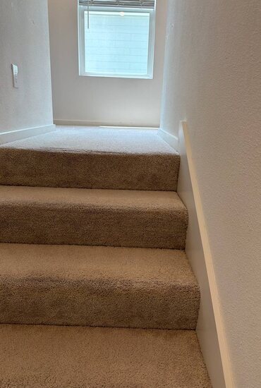 Wooden staircase with cleaned carpet treads
