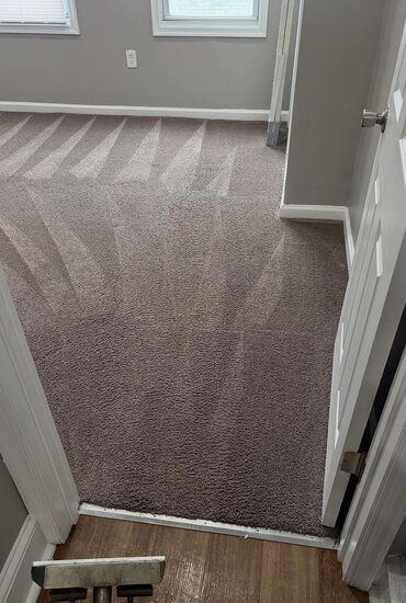 Landing and hall carpet after extraction