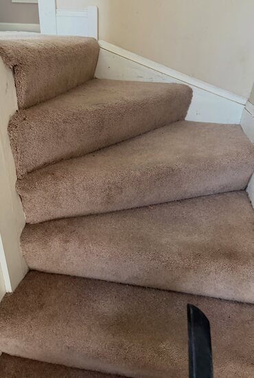 Stair carpet cleaned tread by tread