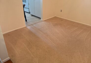Traffic lanes lifted out of a bedroom carpet