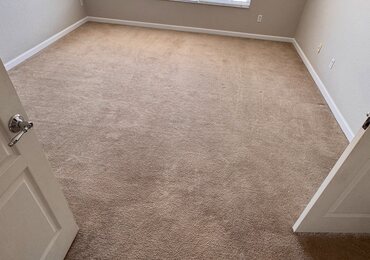 Bright bedroom carpet groomed after cleaning