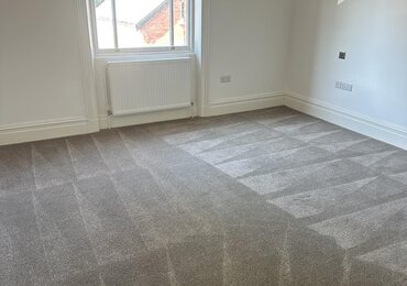 Open plan room with freshly groomed carpet