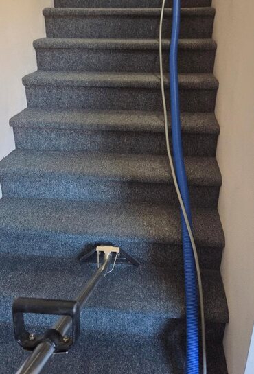 Stair carpet being cleaned by hand