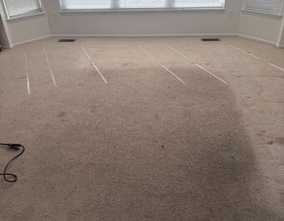 Carpet with heavy traffic-lane soiling, photographed before cleaning