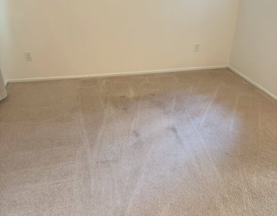 Carpet groomed and dry after hot-water extraction