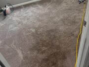 Freshly cleaned carpet drying