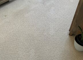 Carpet Cleaning in Goose Creek, SC