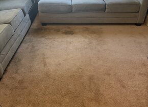Upholstery Cleaning in Goose Creek, SC