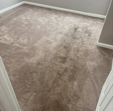 Result of a area rug cleaning job