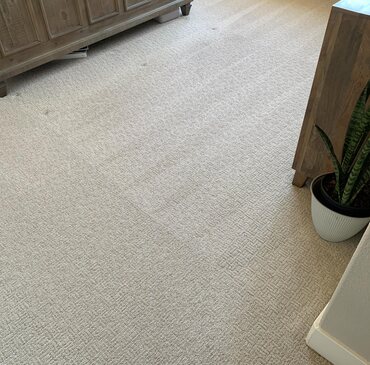 Carpet Cleaning job in progress