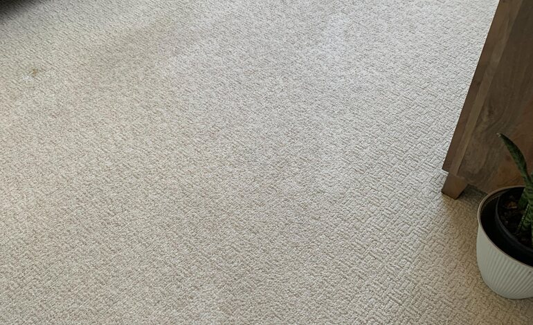 Carpet Cleaning in Goose Creek, SC
