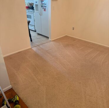 Result of a pet stain & odor removal job