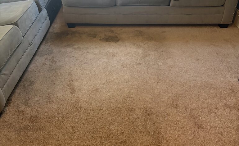 Upholstery Cleaning in Goose Creek, SC